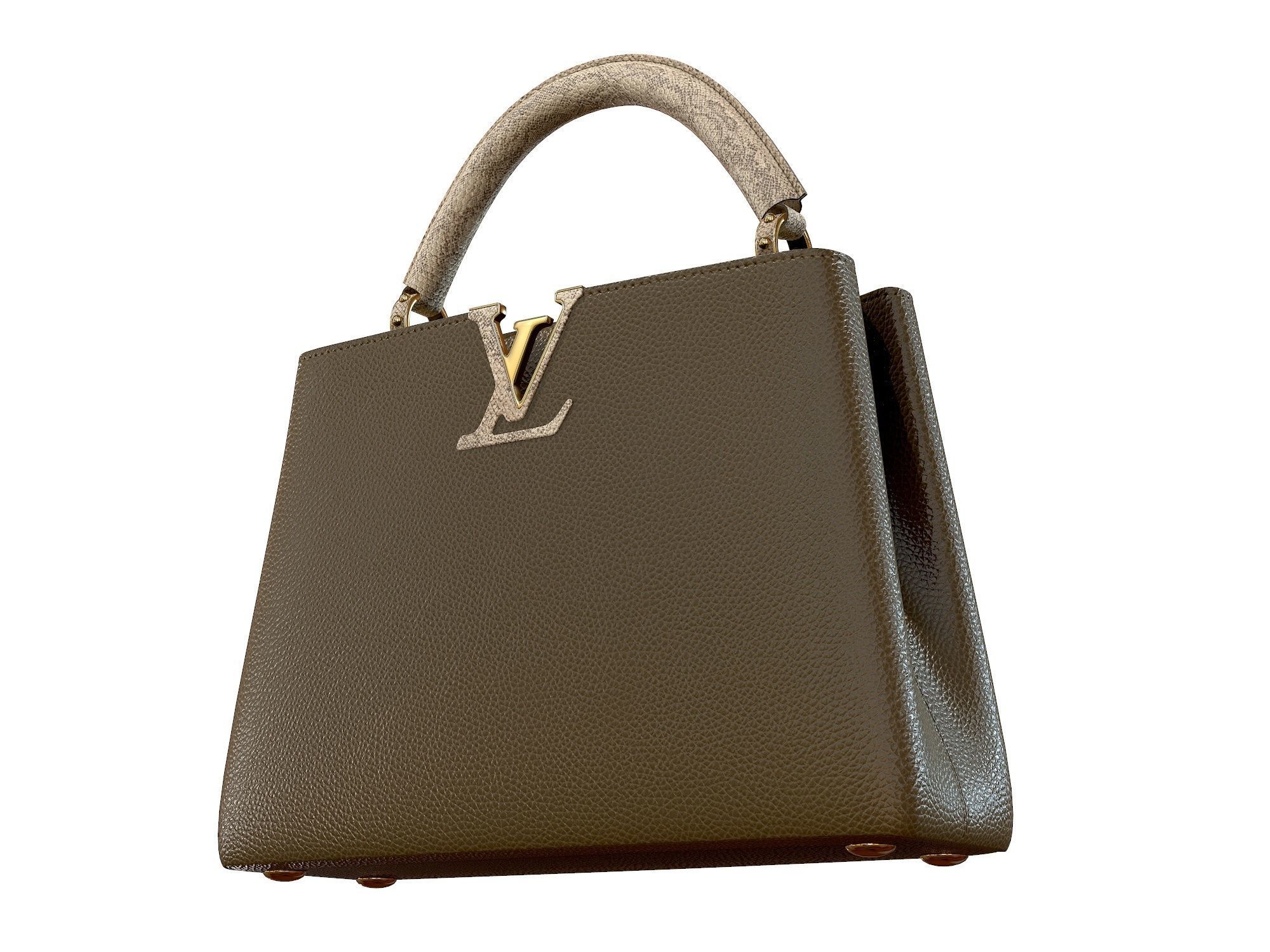 Louis Vuitton bag Capucines Khaki Snake Leather 3D model_5