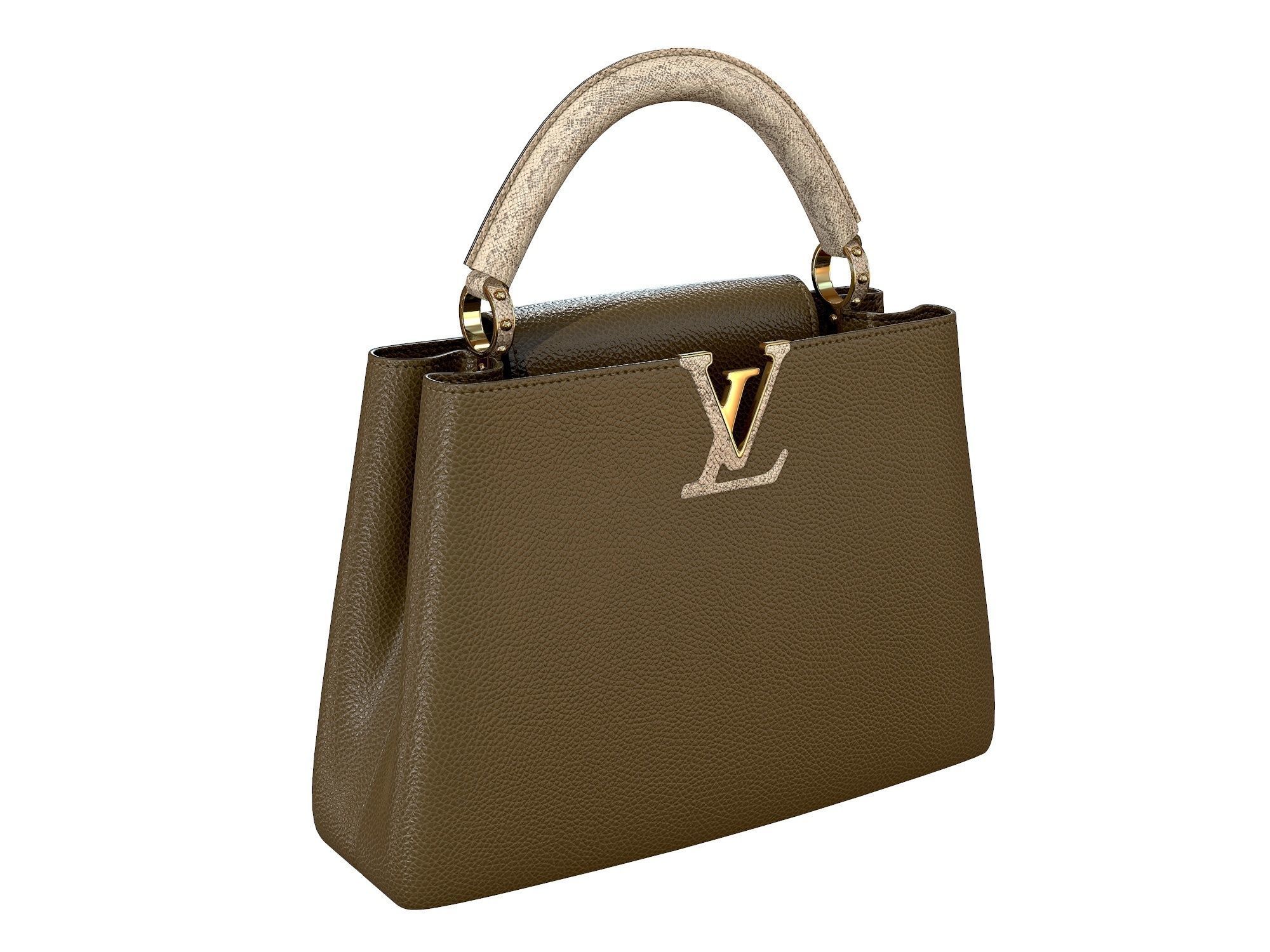 Louis Vuitton bag Capucines Khaki Snake Leather 3D model_1