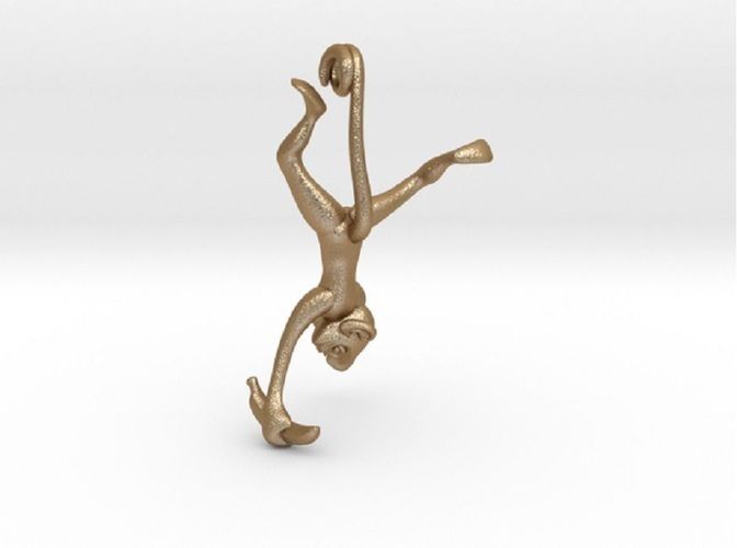 3D-Monkeys 270 3D print model