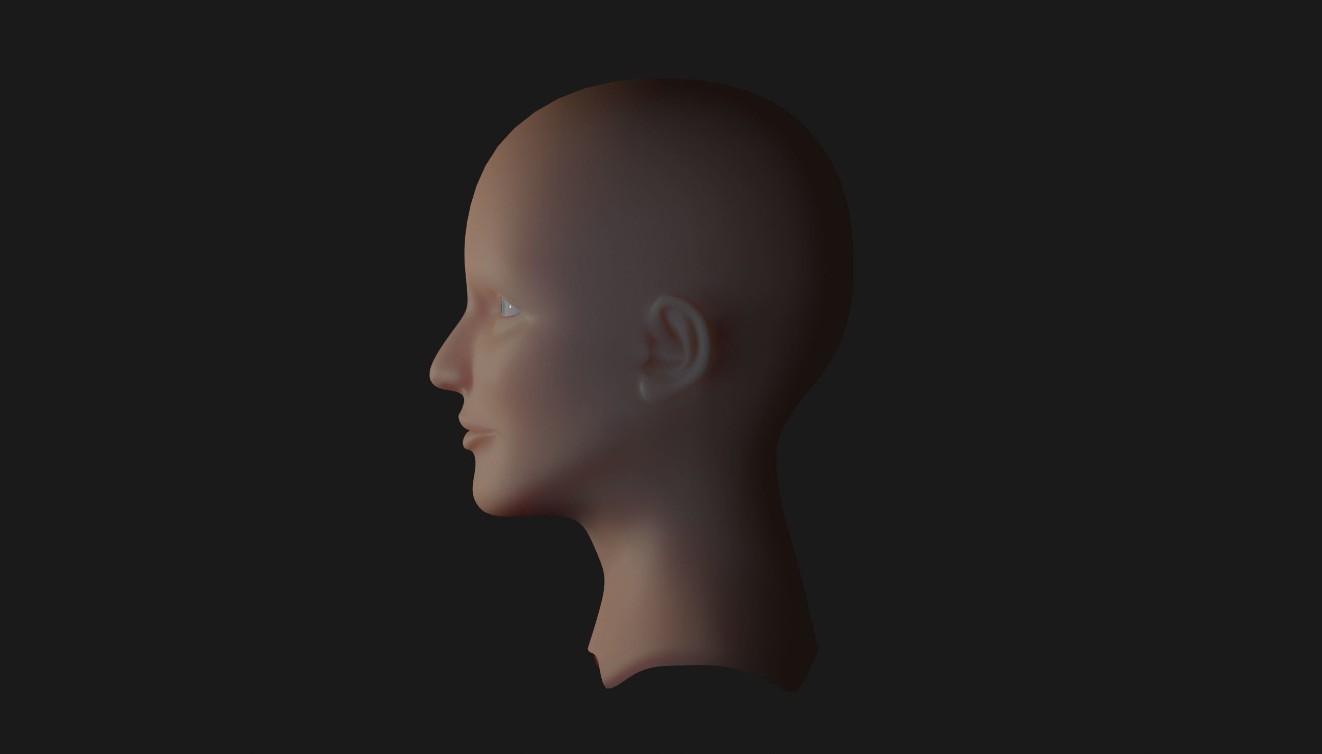 Head Base Mesh and Basic Skin Shader for Eevee 3D model_6