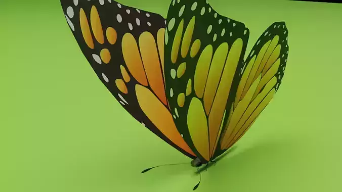 Butterfly monarch
