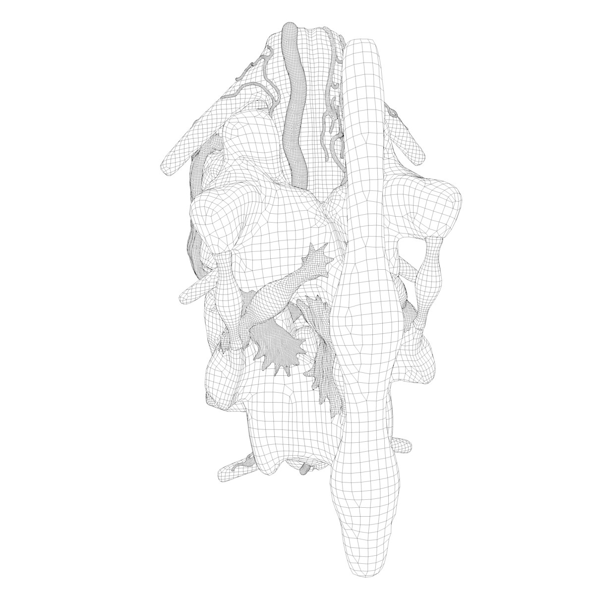 Part of the Human Spine 3D model_15