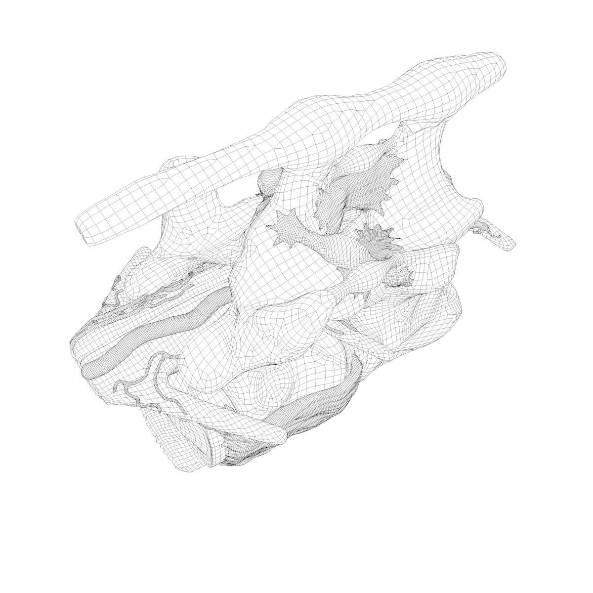 Part of the Human Spine 3D model_21