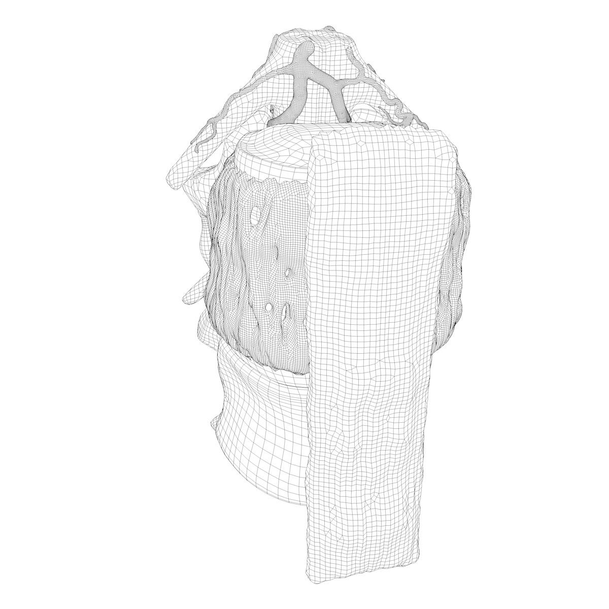 Part of the Human Spine 3D model_18