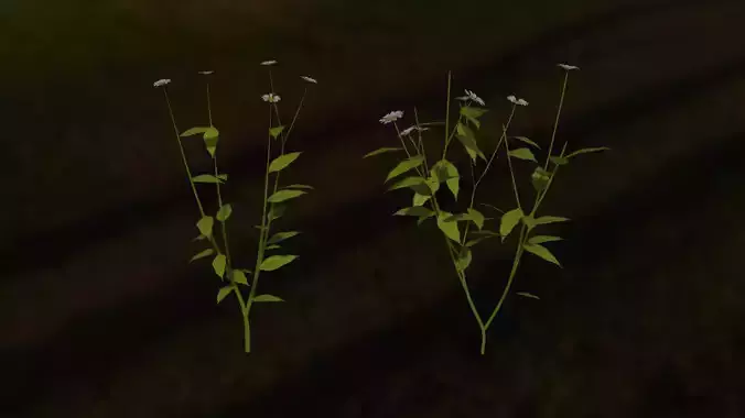 Low Poly Plant flower in field at night