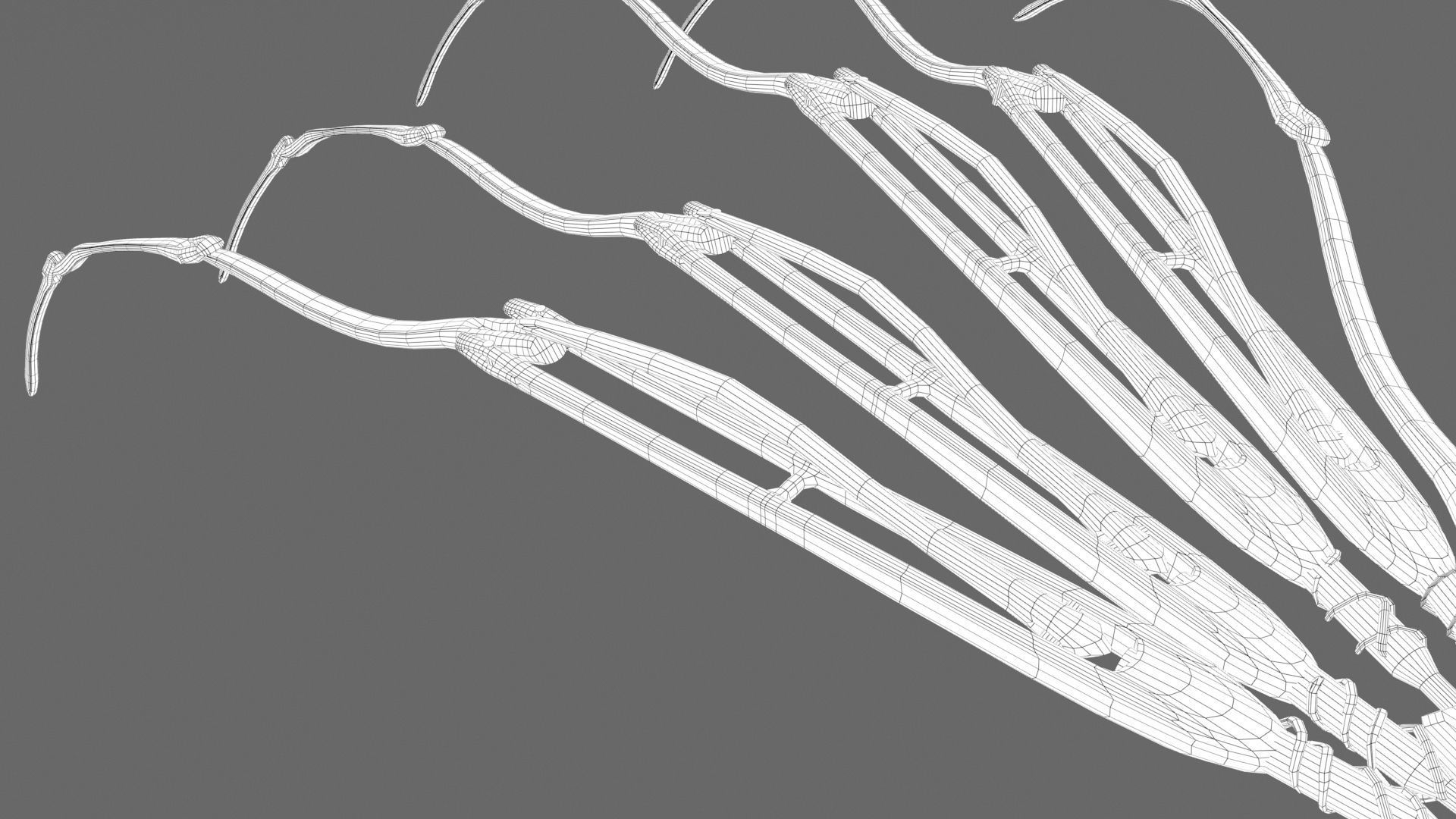 Other Mothers Hand rig 3D model_10