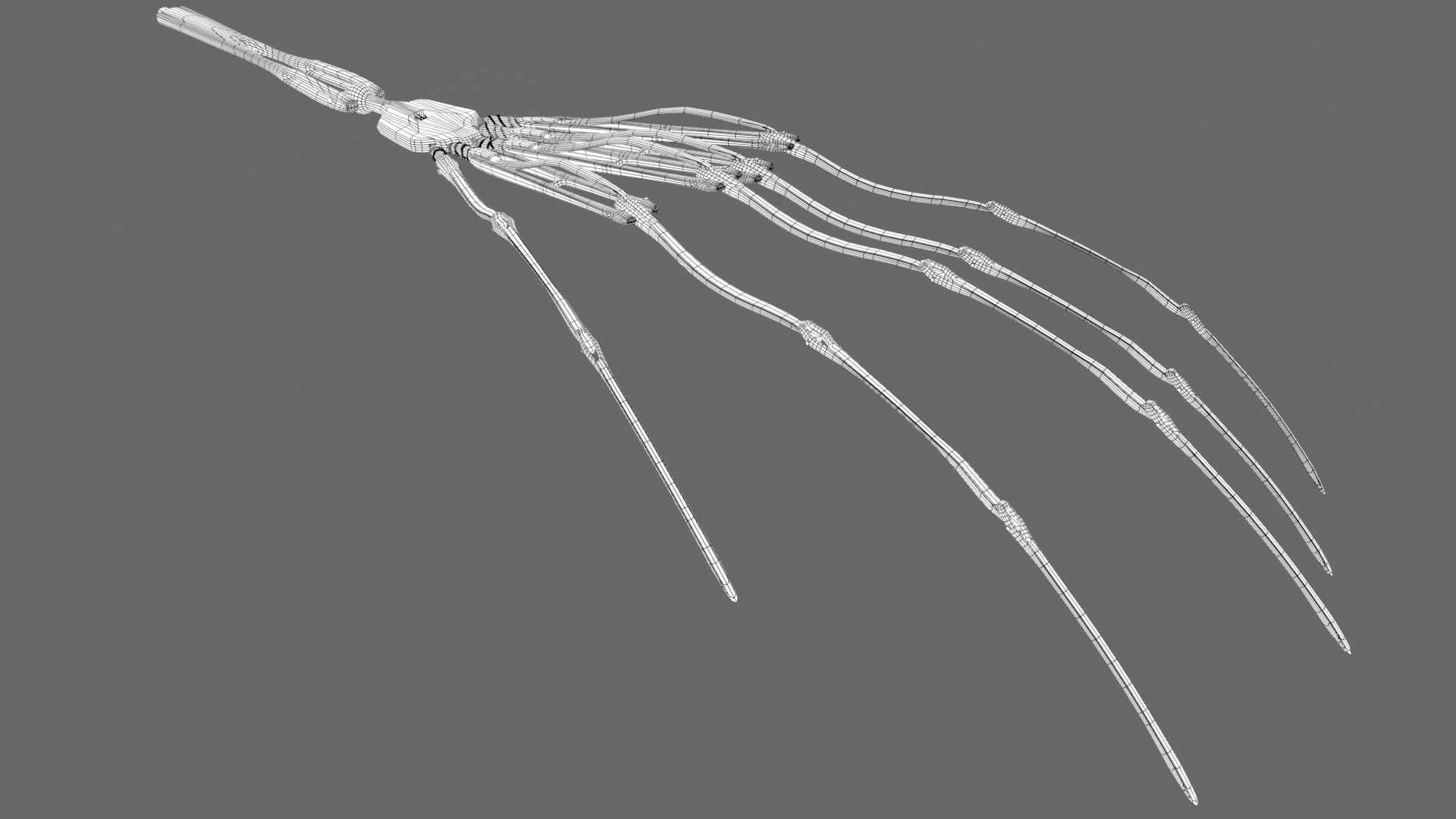Other Mothers Hand rig 3D model_9