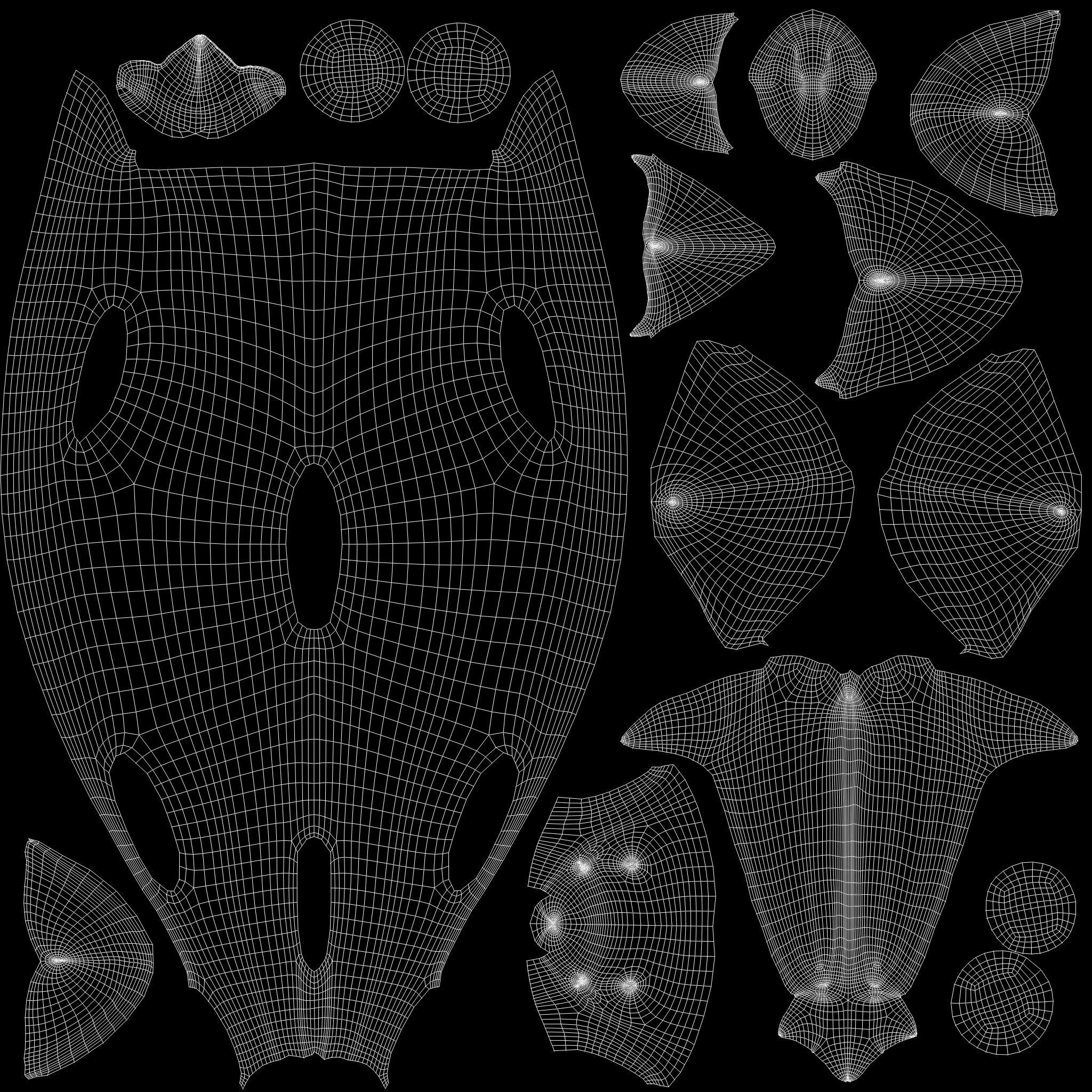 Realistic Tiger Shark Model 3D model_4