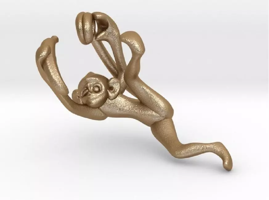 3D-Monkeys 303 3D print model_0