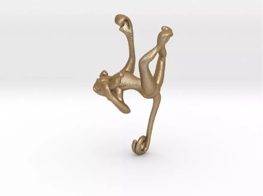 3D-Monkeys 313 3D print model_0