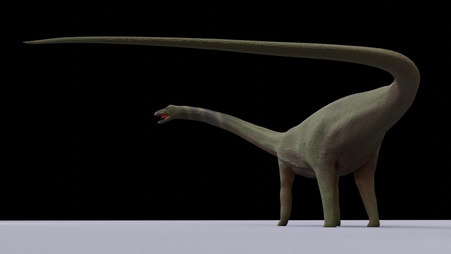 Diplodocus dinosaur 3D model_3