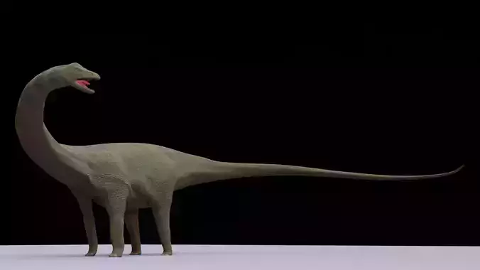 Diplodocus dinosaur 3D model