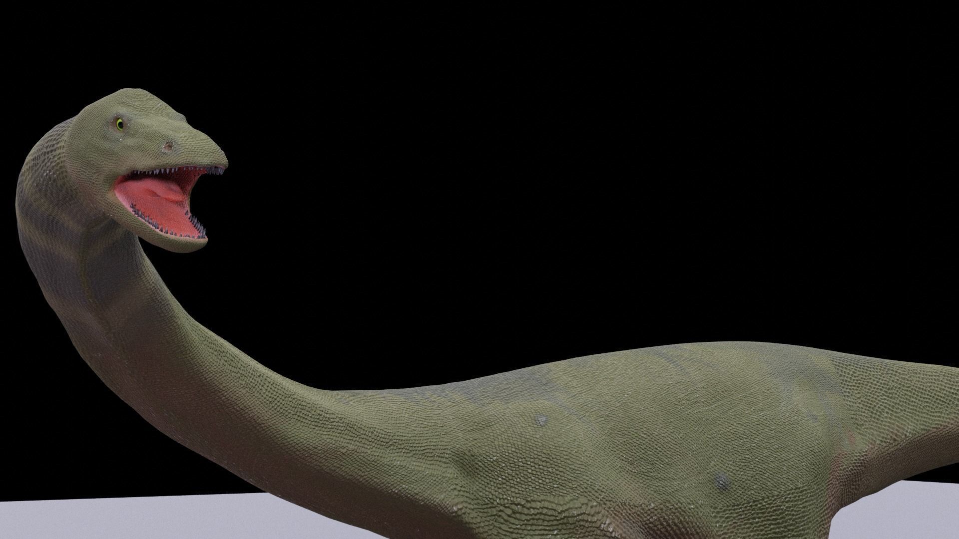 Diplodocus dinosaur 3D model_5