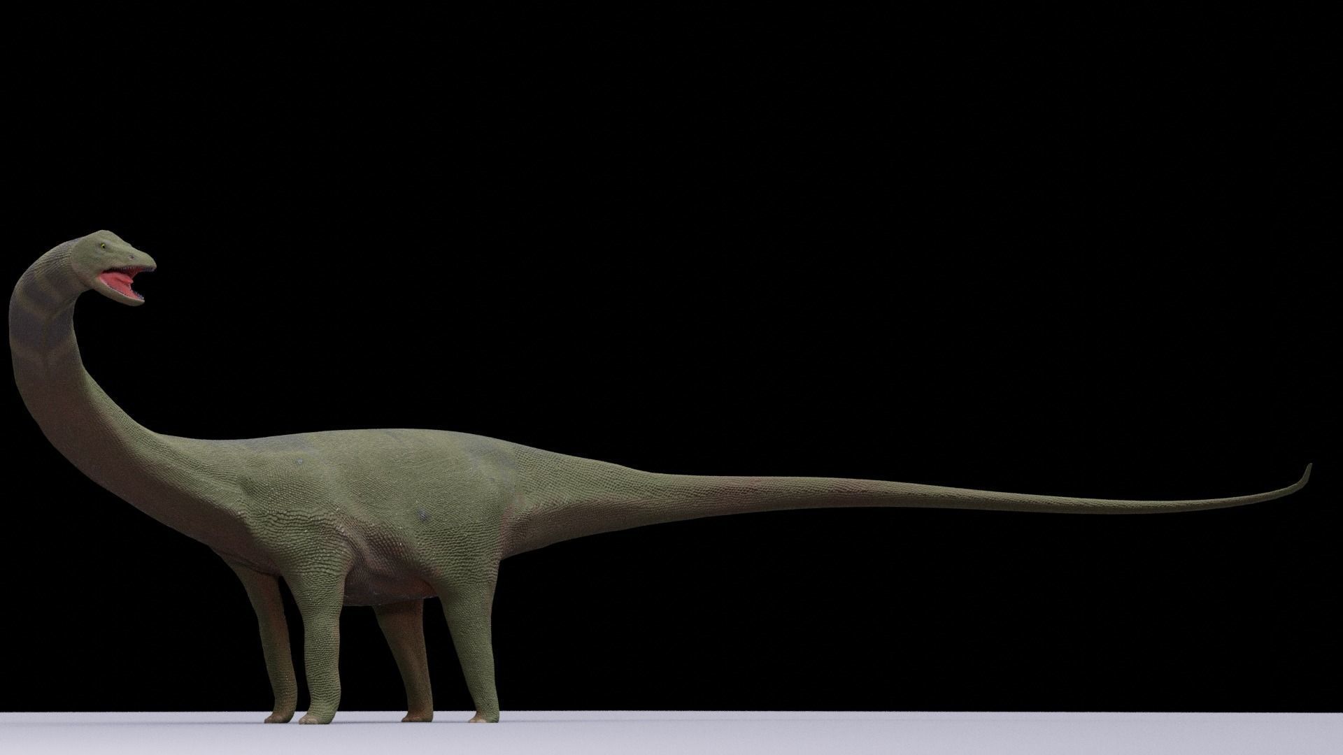 Diplodocus dinosaur 3D model_1