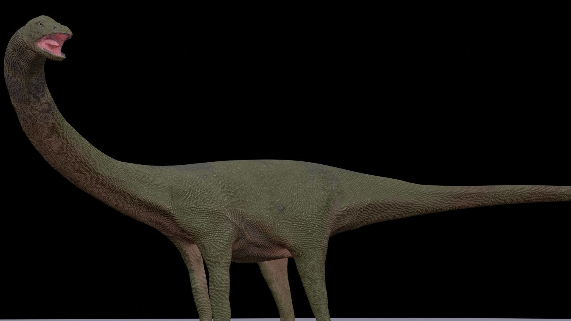 Diplodocus dinosaur 3D model_6