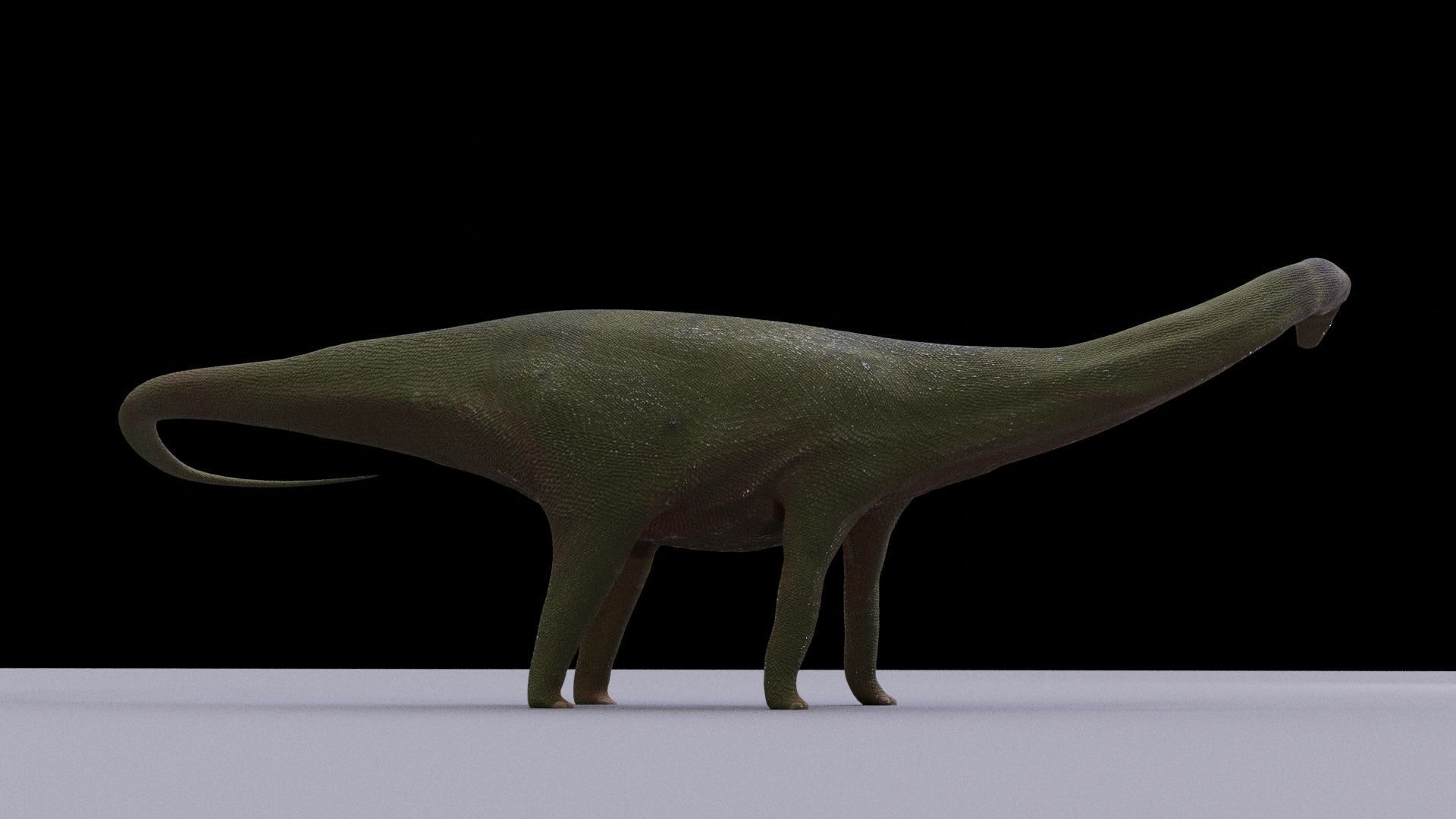 Diplodocus dinosaur 3D model_4