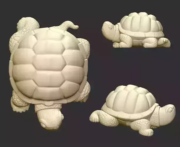 tortoise turtle 3D print model