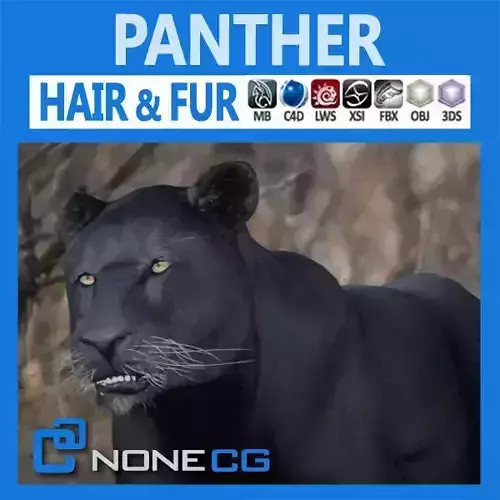 Panther