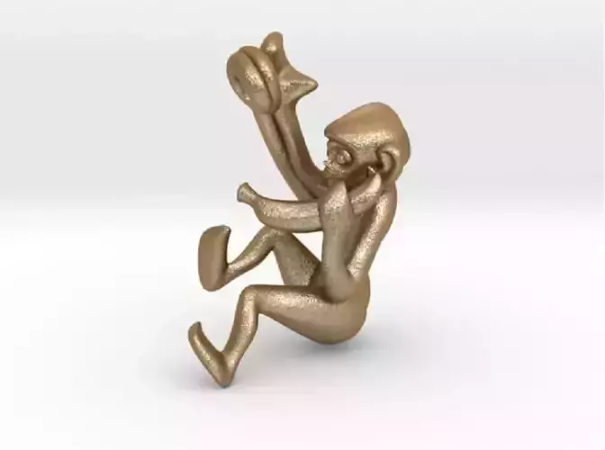 3D-Monkeys 366 3D print model