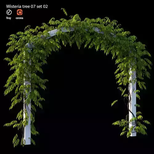 Wisterial tree 07 set 02