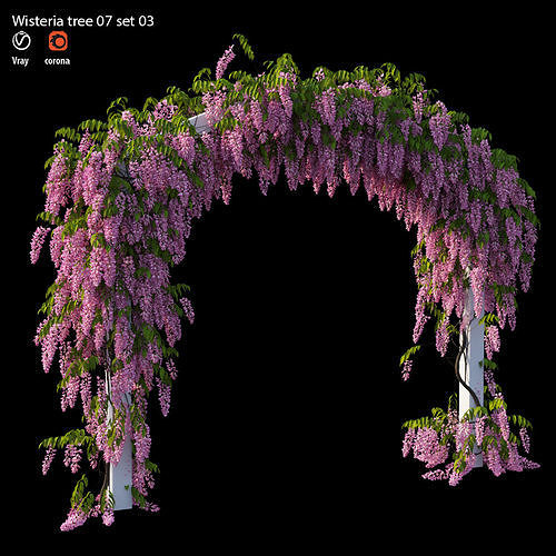 Wisterial tree 07 set 03 3D model