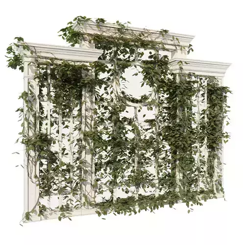 Decor ivy covered window frame