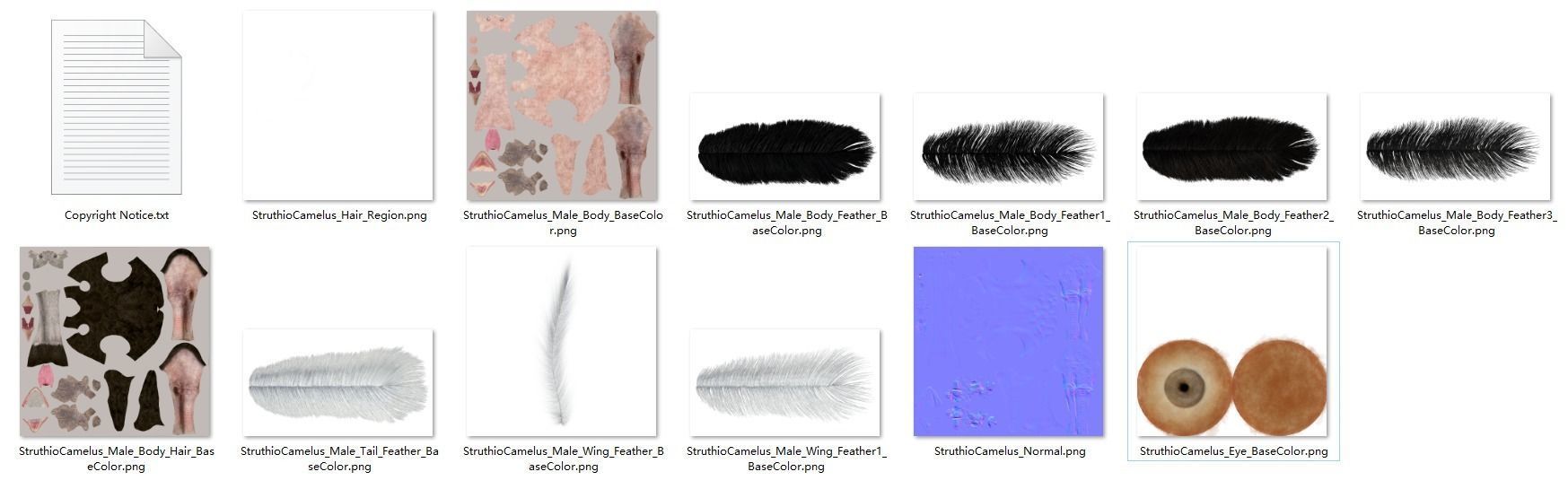 Ostrich Animated 3D model_14