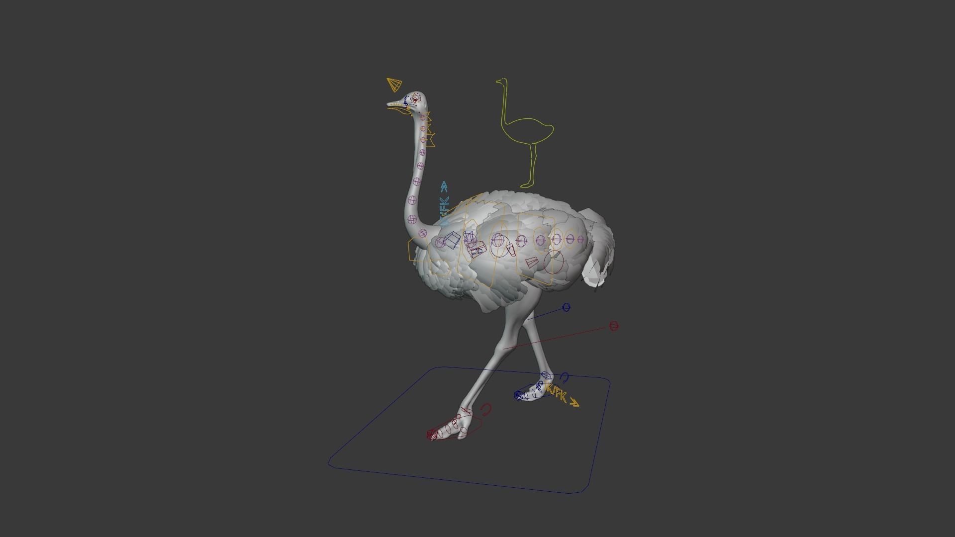 Ostrich Animated 3D model_10