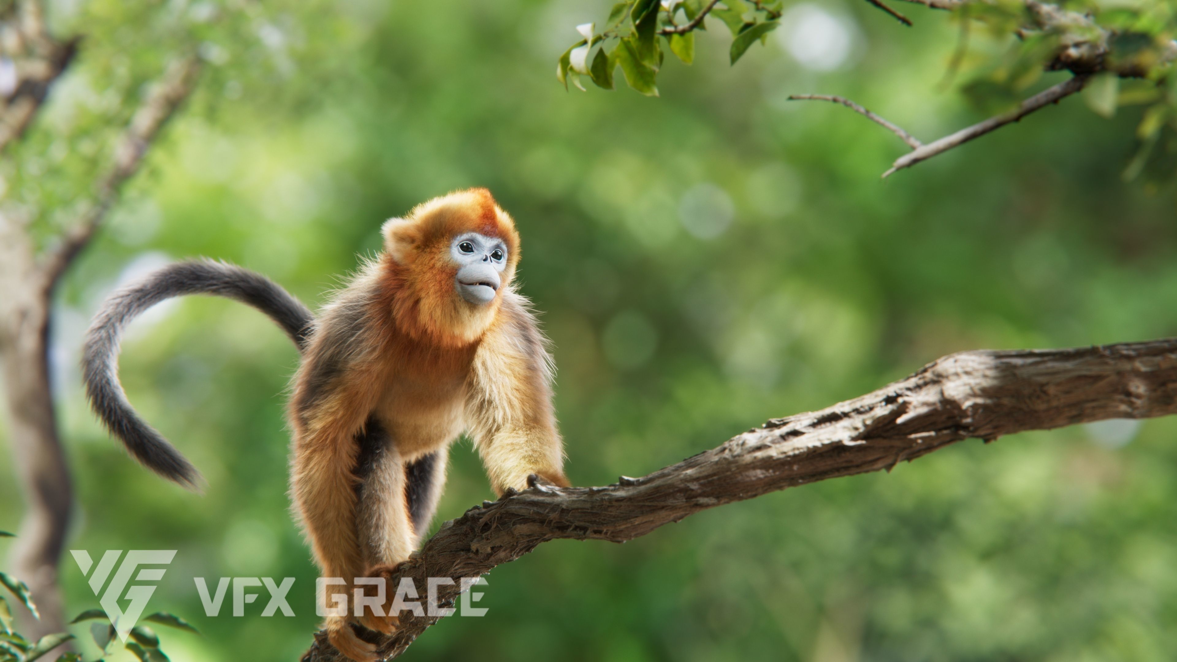 Golden Snub-nosed Monkey Animated 3D model_5