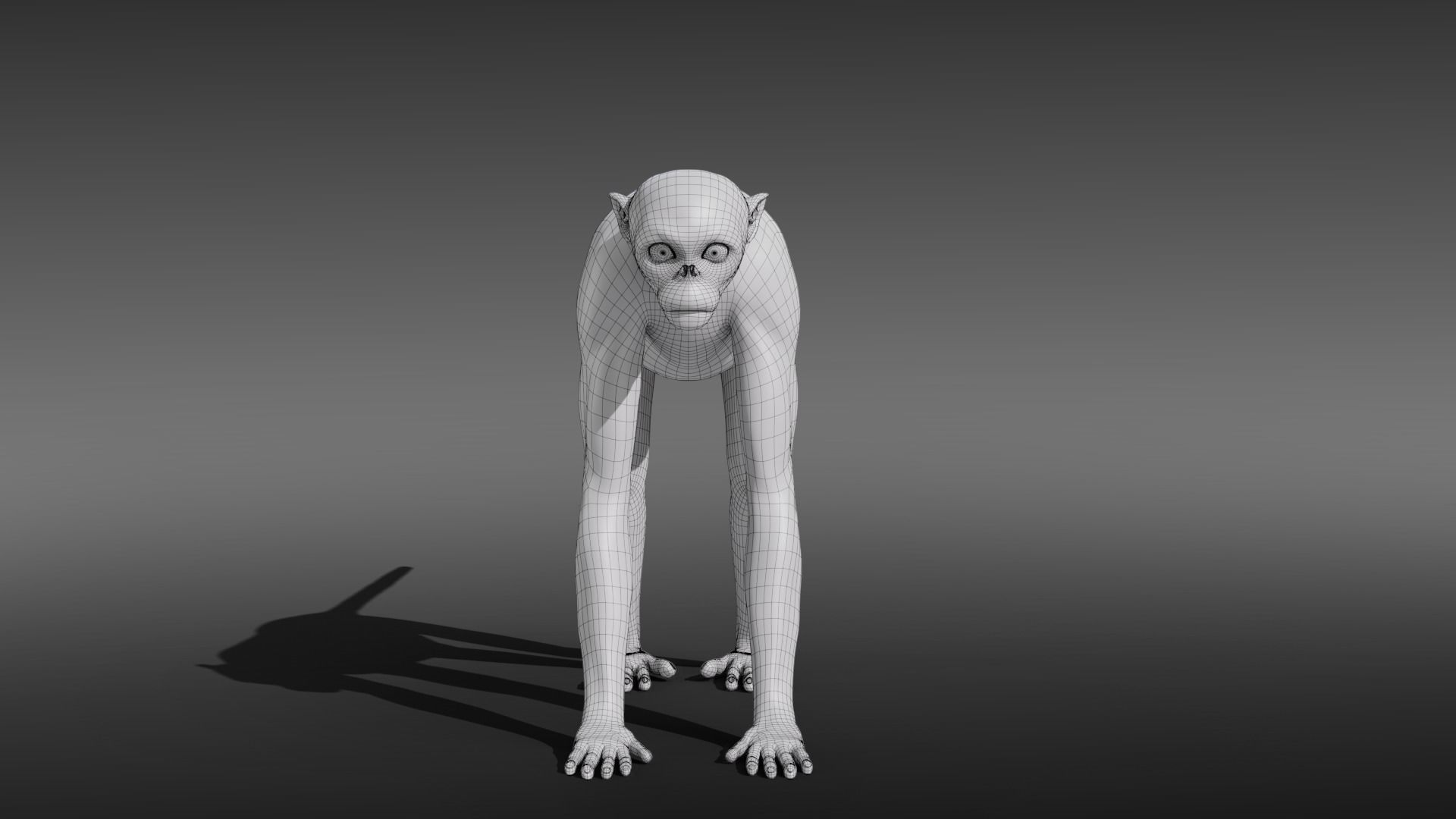 Golden Snub-nosed Monkey Animated 3D model_24