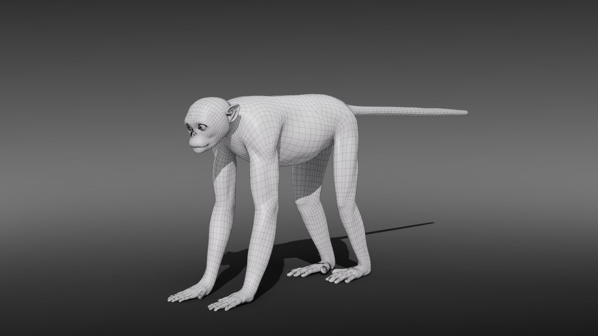Golden Snub-nosed Monkey Animated 3D model_23