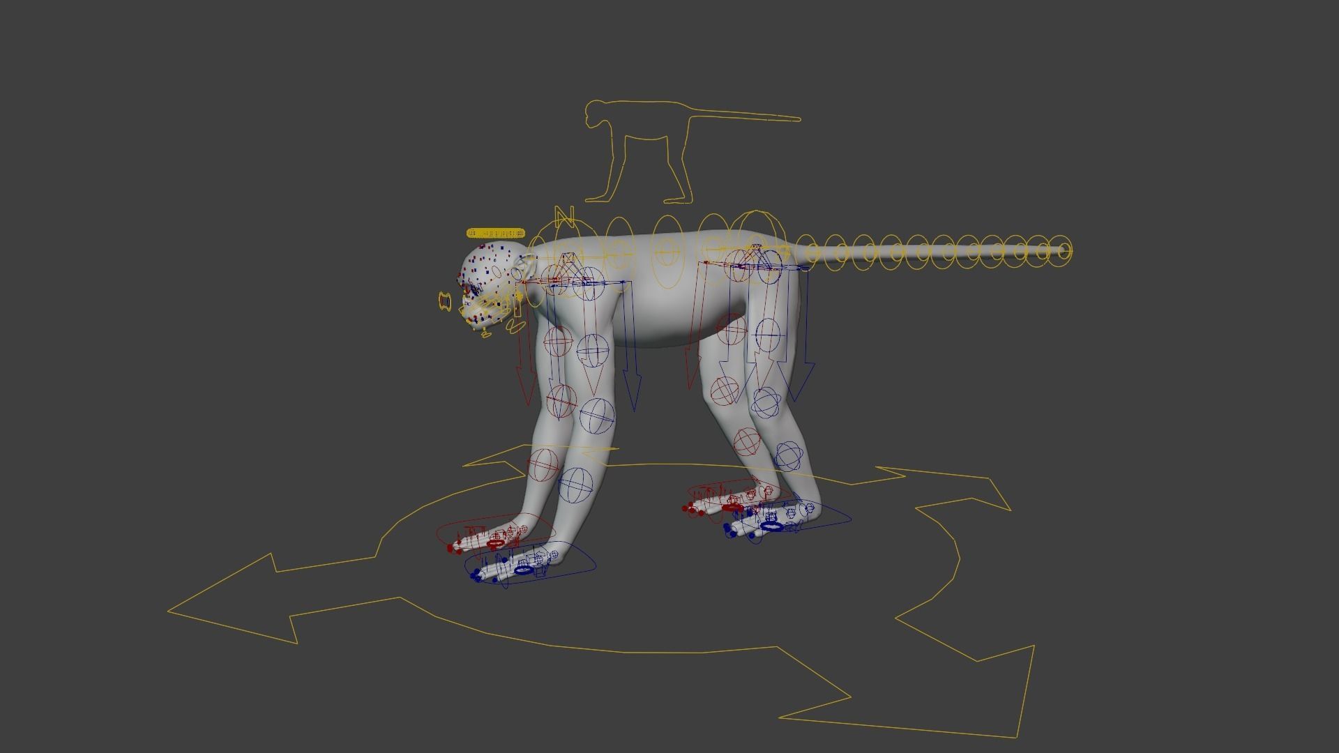 Golden Snub-nosed Monkey Animated 3D model_14