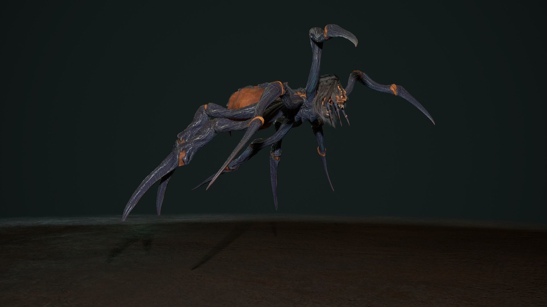 Spider 2 flying Low-poly 3D model_7