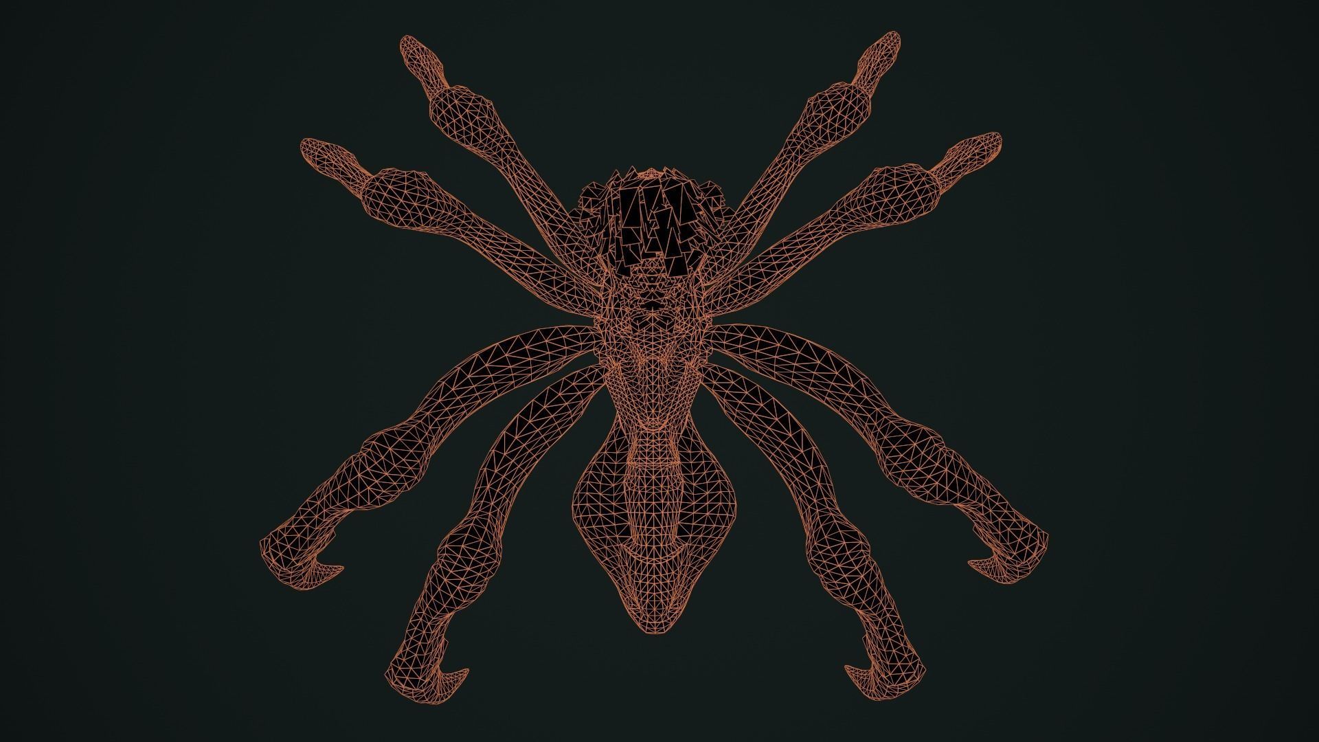 Spider 2 flying Low-poly 3D model_30