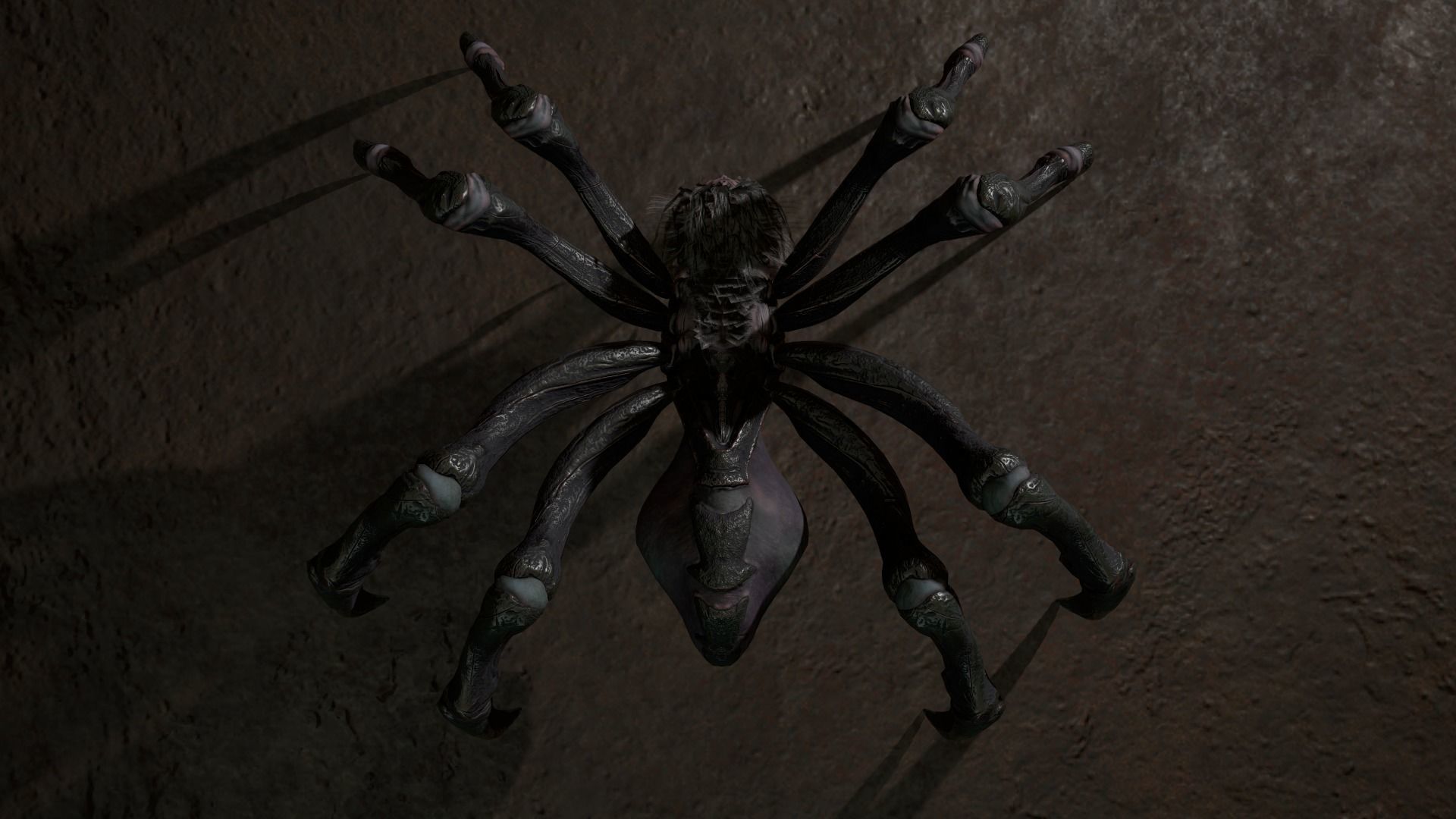 Spider 2 flying Low-poly 3D model_26