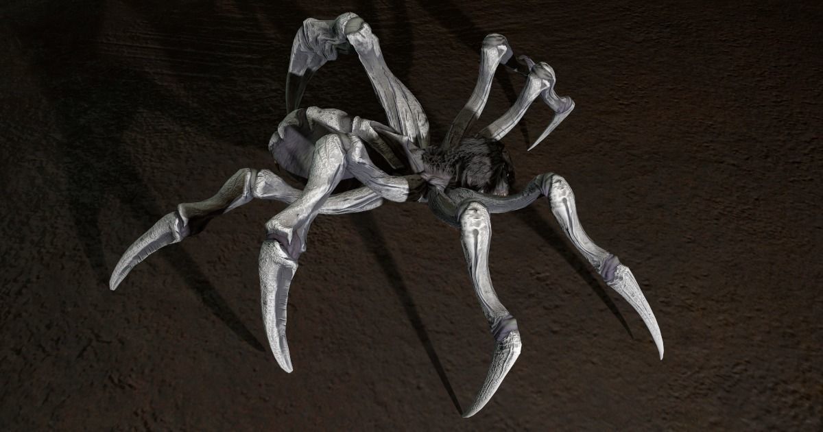 Spider 2 flying Low-poly 3D model_21