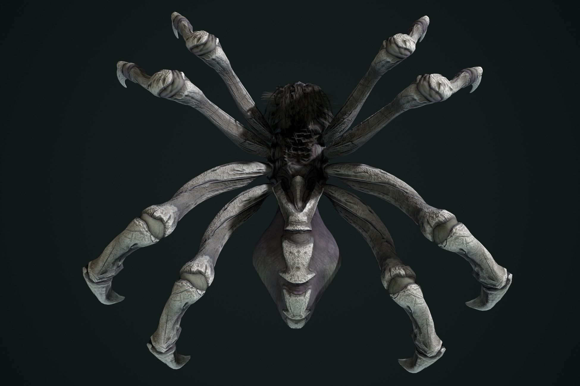 Spider 2 flying Low-poly 3D model_27