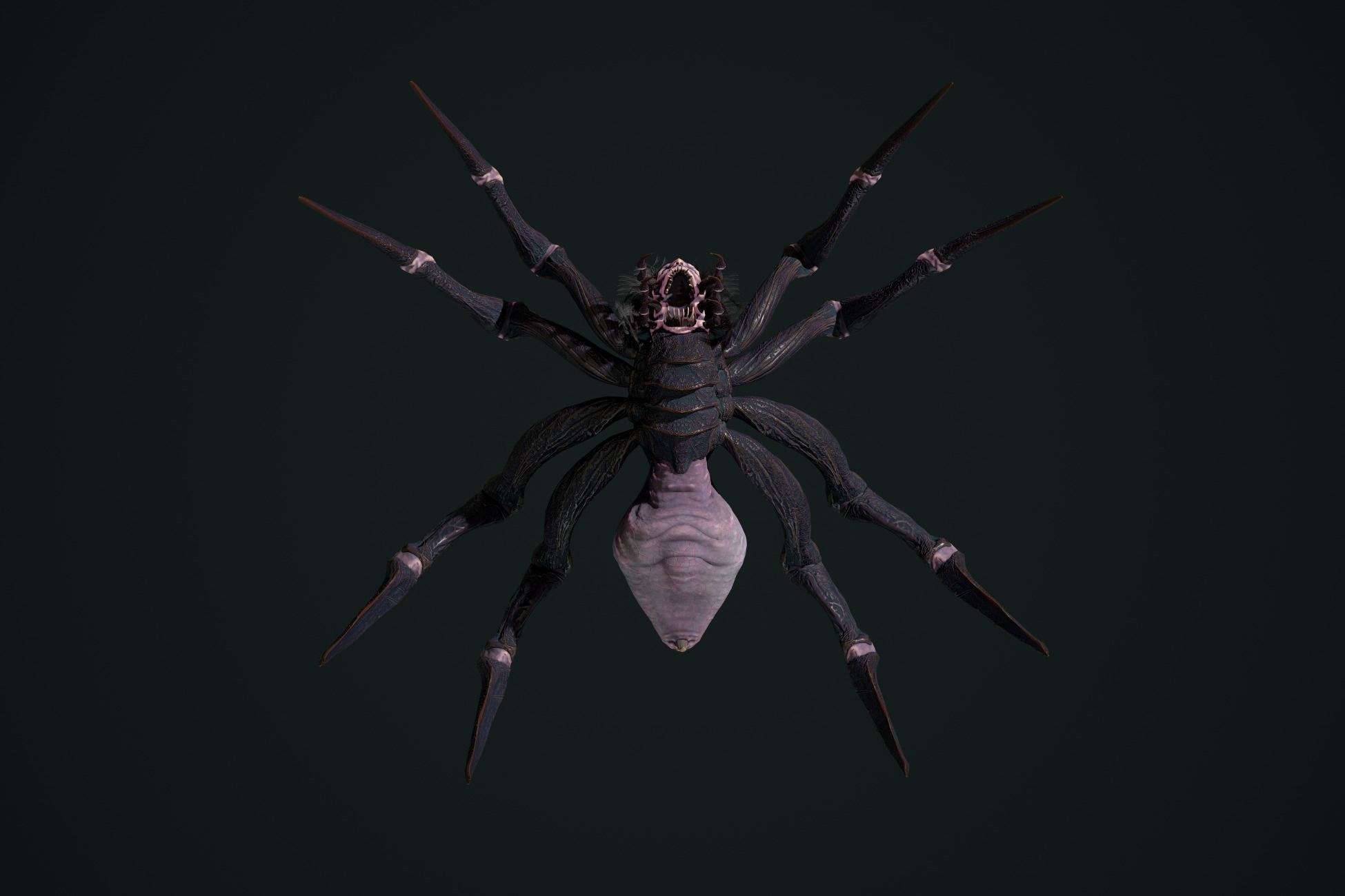 Spider 2 flying Low-poly 3D model_22