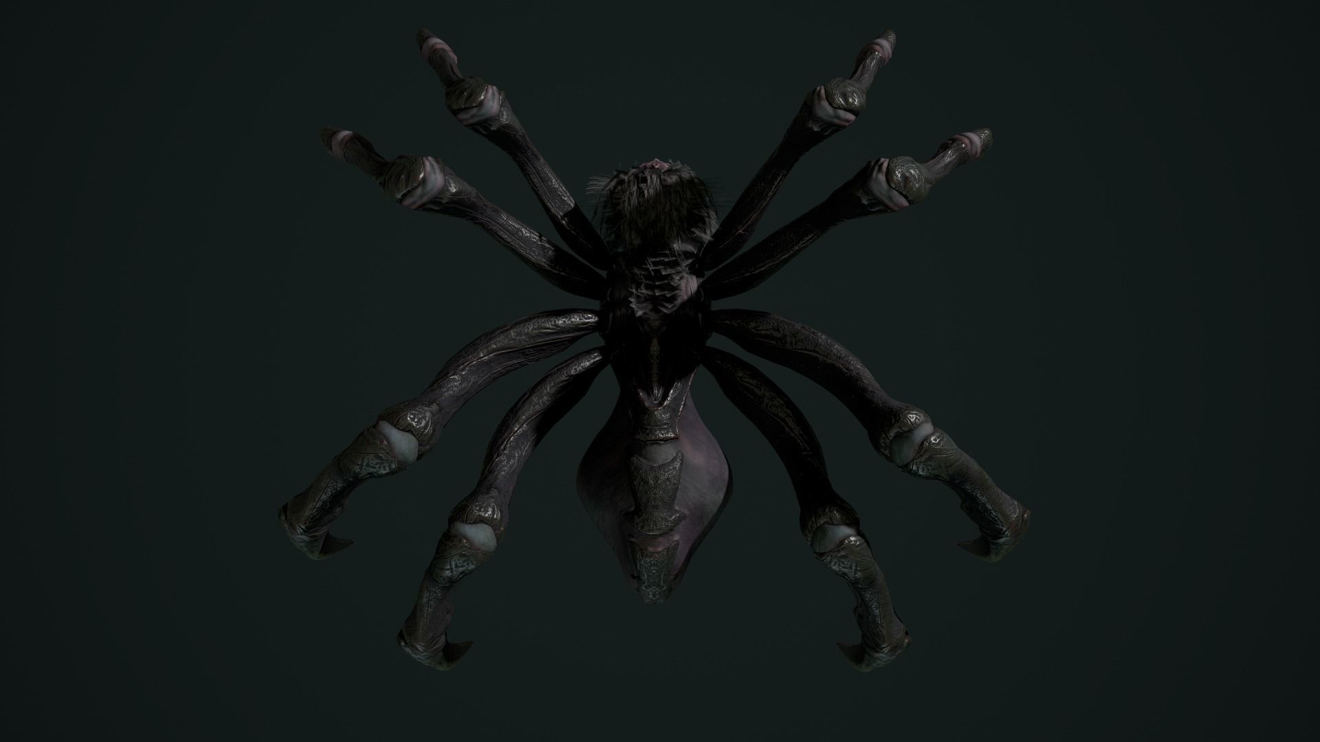 Spider 2 flying Low-poly 3D model_24