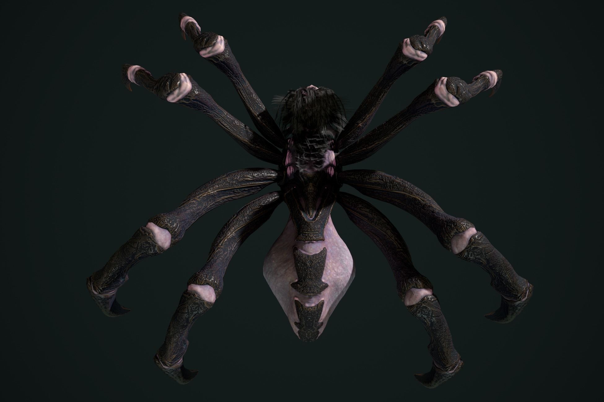 Spider 2 flying Low-poly 3D model_14