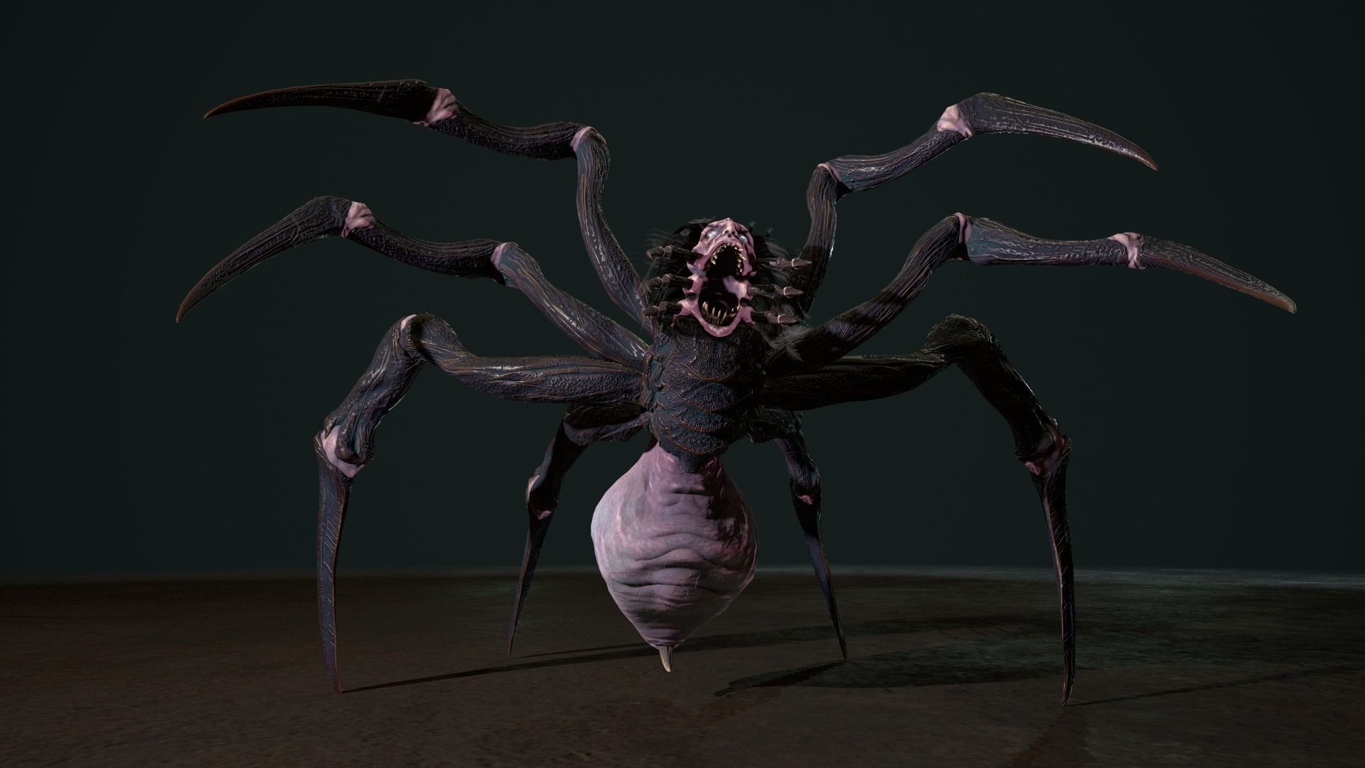 Spider 2 flying Low-poly 3D model_10