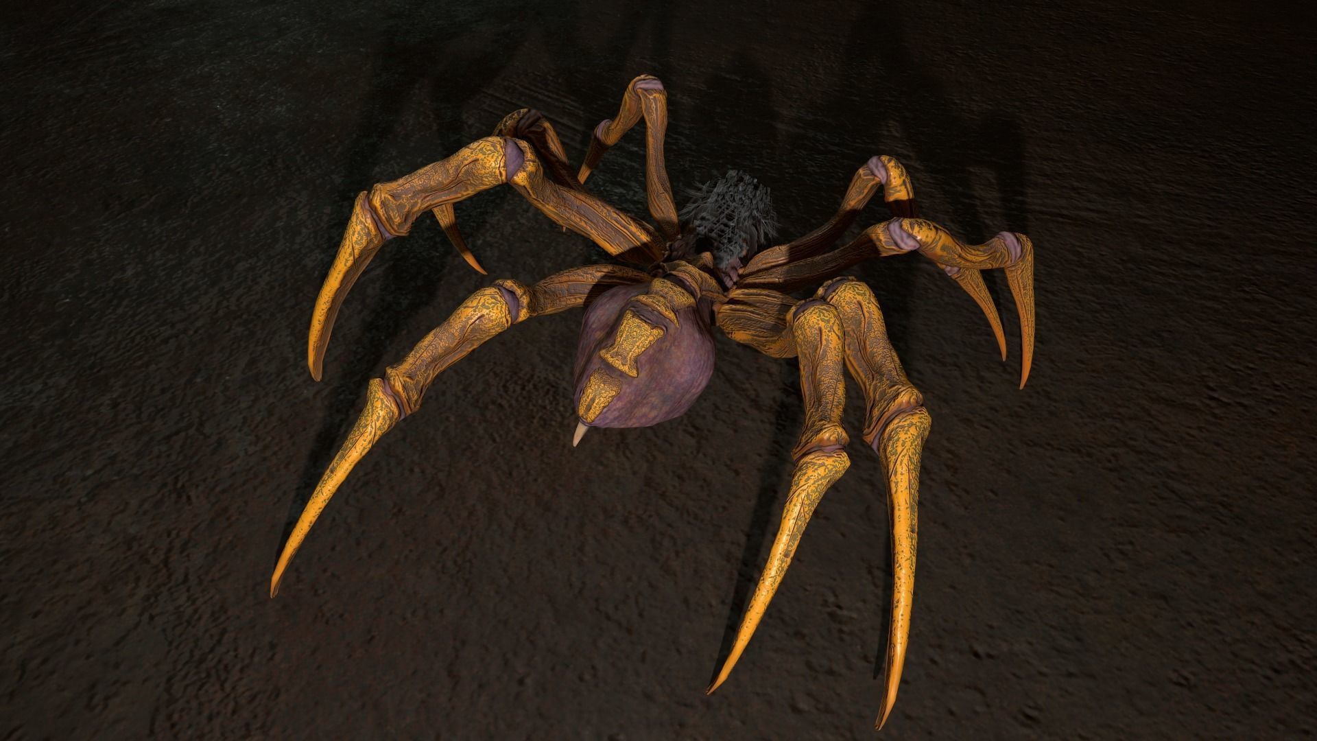 Spider 2 flying Low-poly 3D model_13