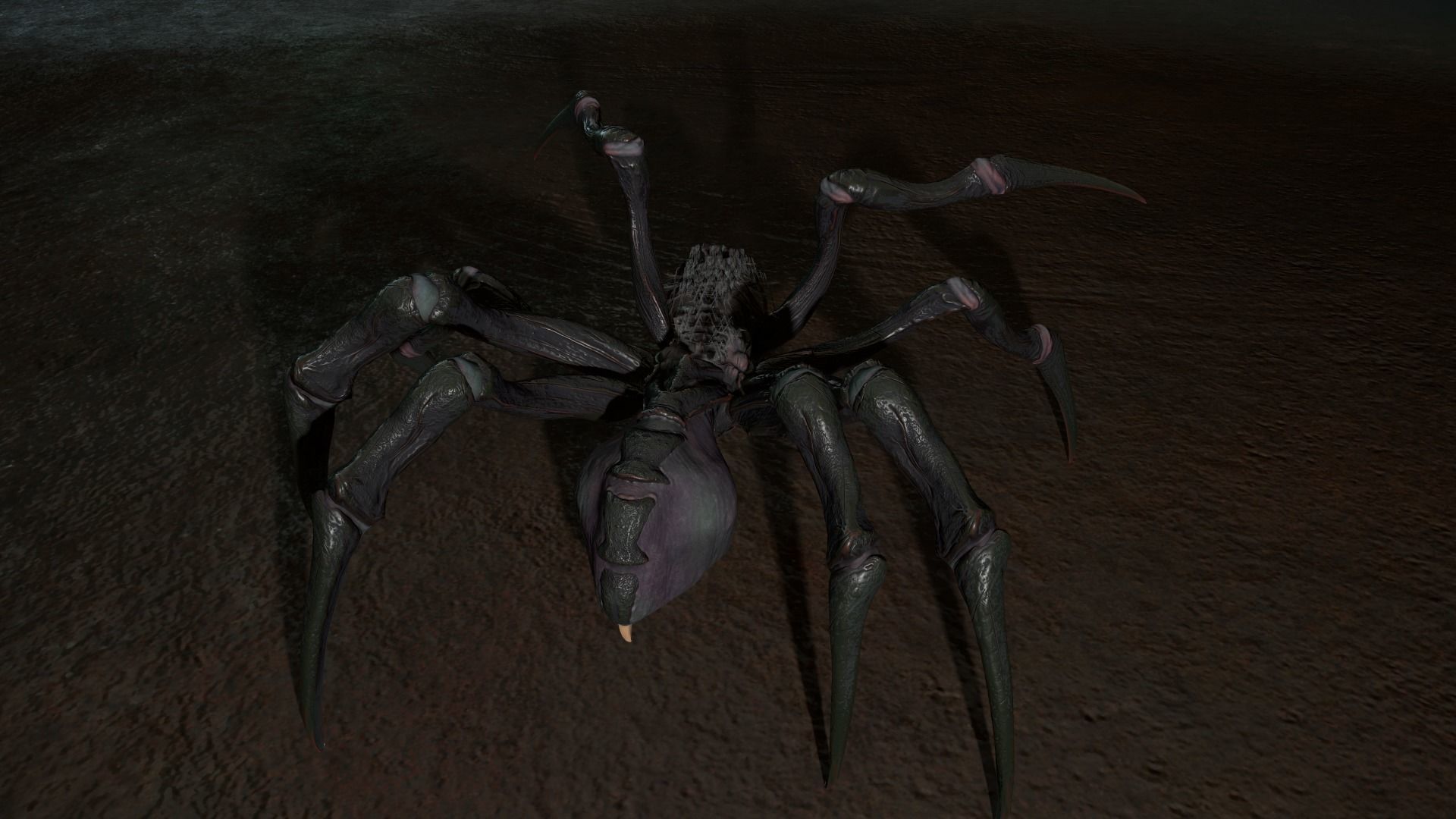 Spider 2 flying Low-poly 3D model_18