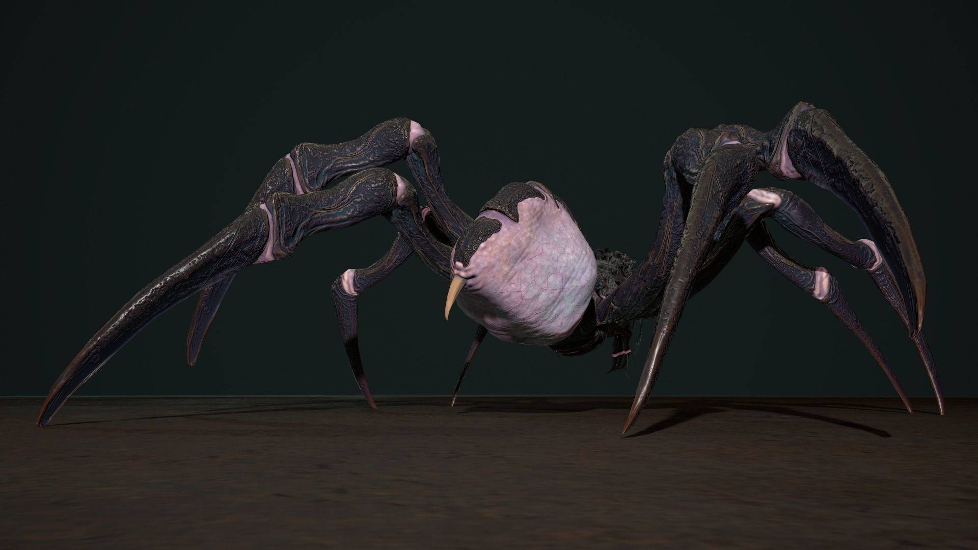 Spider 2 flying Low-poly 3D model_8