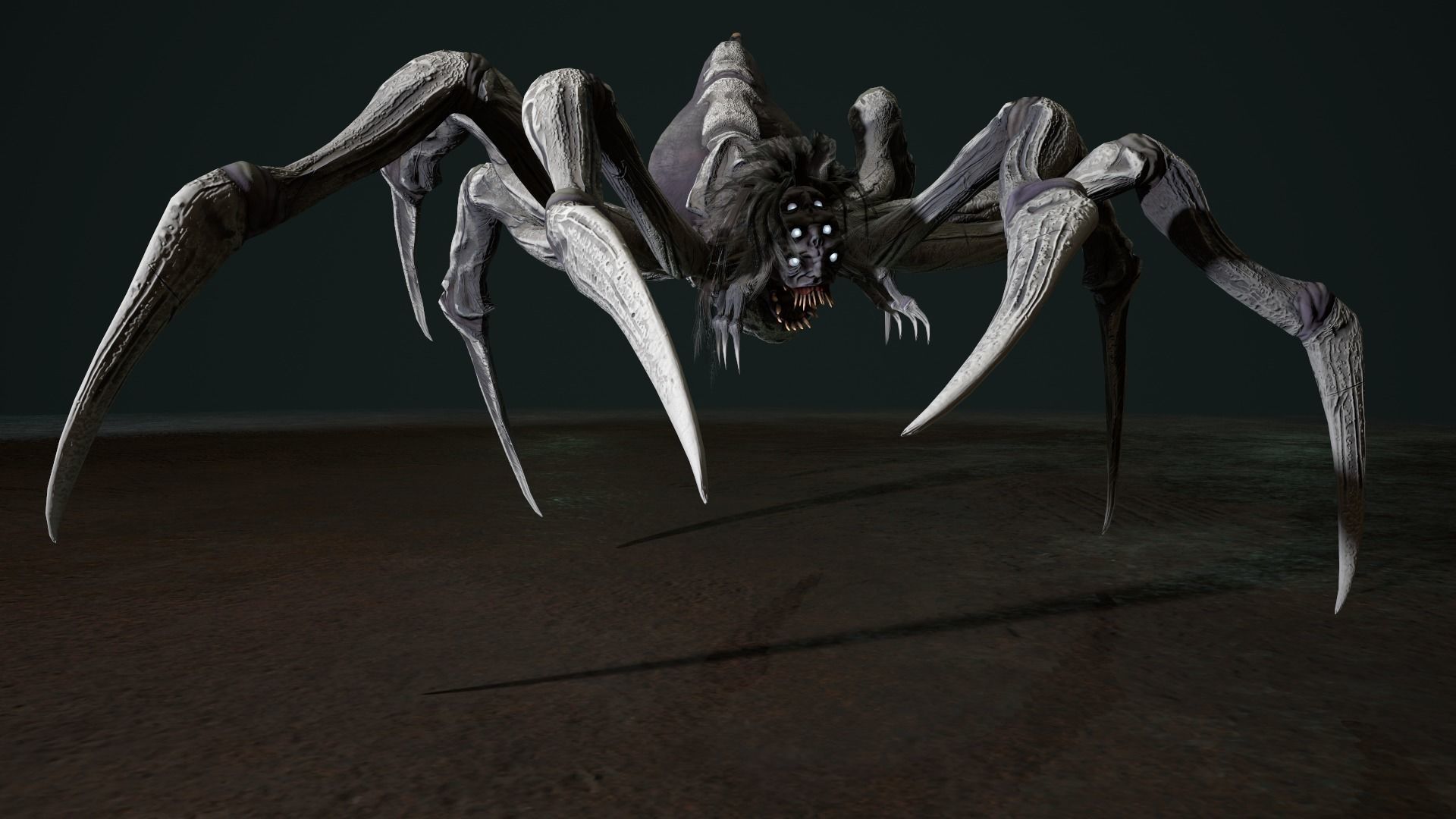 Spider 2 flying Low-poly 3D model_15