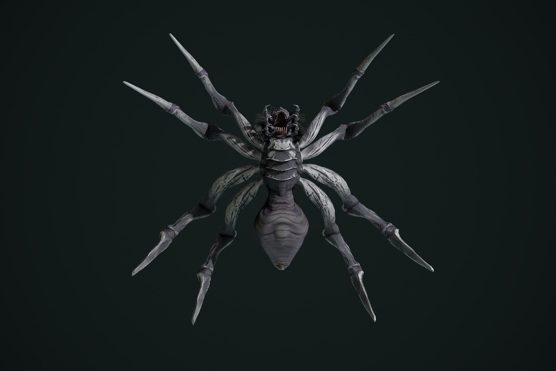 Spider 2 flying Low-poly 3D model_23