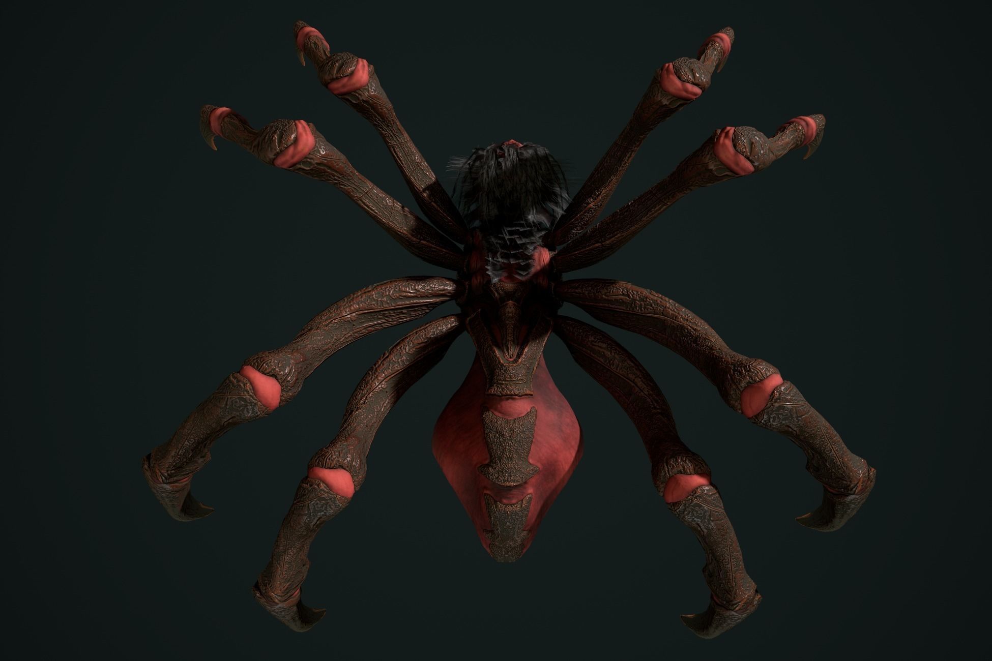 Spider 2 flying Low-poly 3D model_25