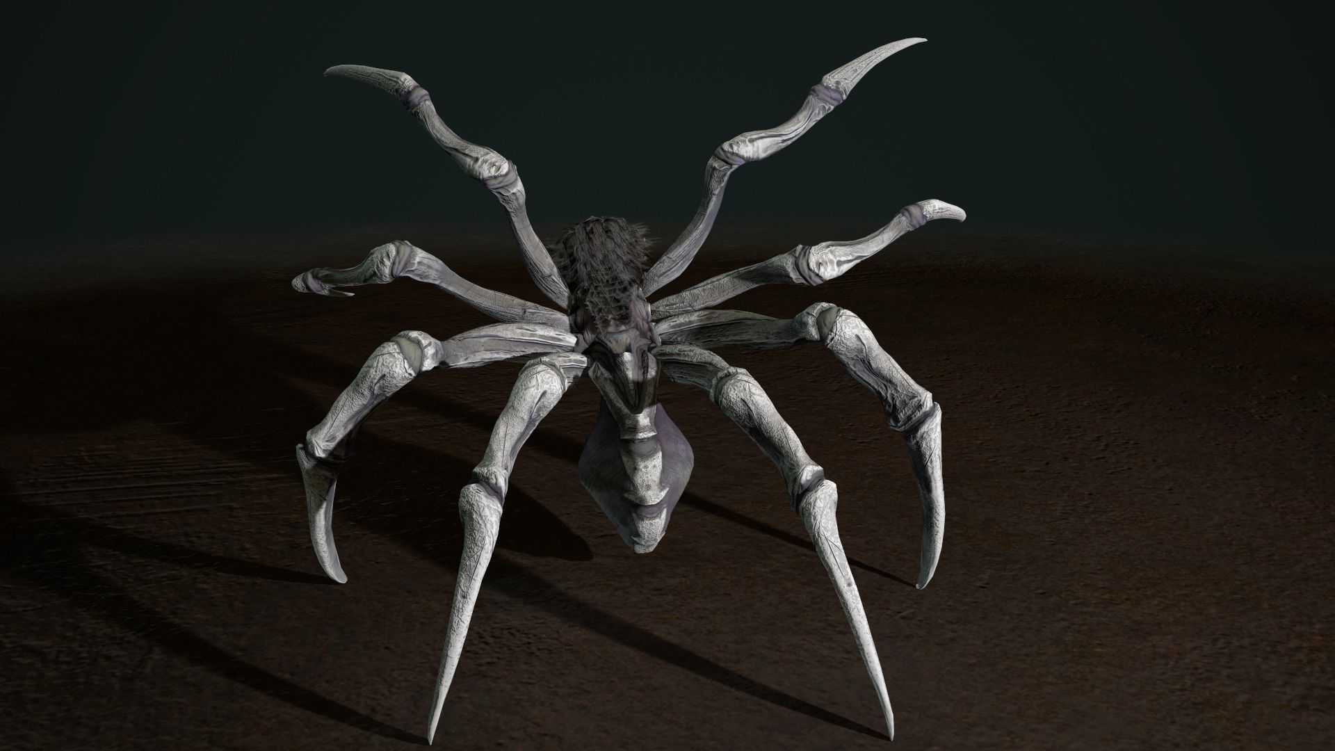 Spider 2 flying Low-poly 3D model_12