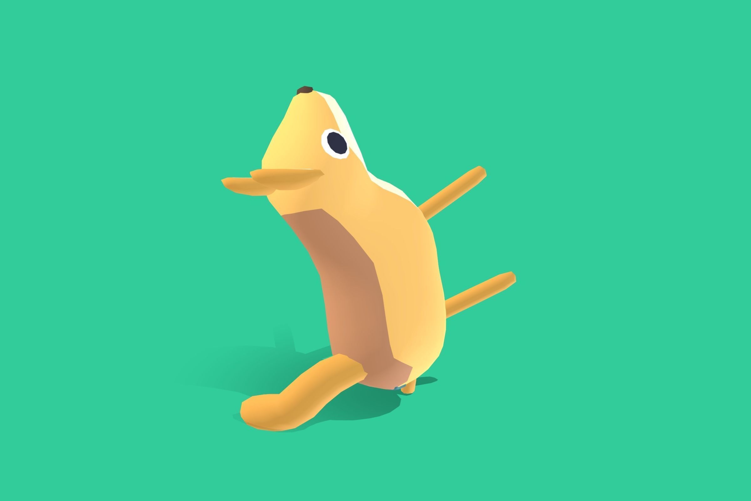 Coyote - Quirky Series Low-poly 3D model_7