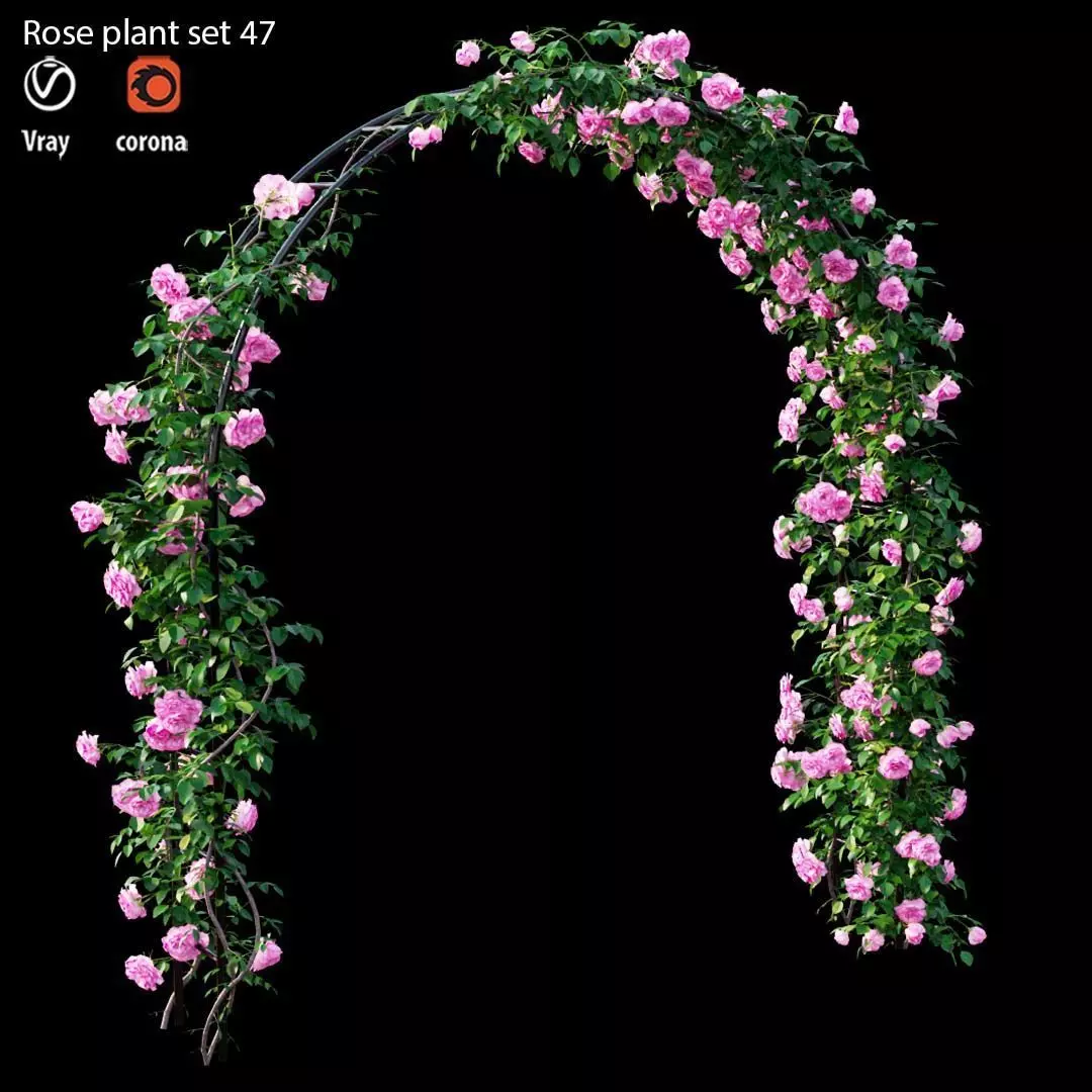Rose plant set 47 3D model
